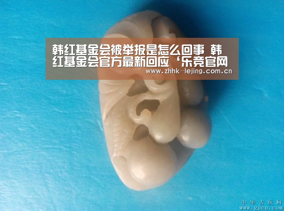 韩红基金会被举报是怎么回事 韩红基金会官方最新回应‘乐竞官网’(图1) 乐竞