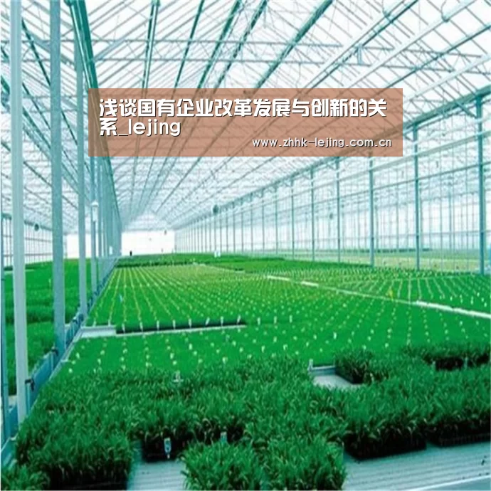 浅谈国有企业改革发展与创新的关系_lejing(图2) 乐竞体育